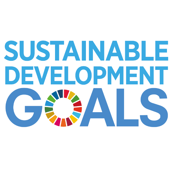 Sustainable Development Goals image