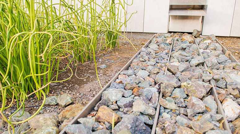 Landscape design with green grasses and rocks, design by Colwell Shelor Landscape Architecture firm.